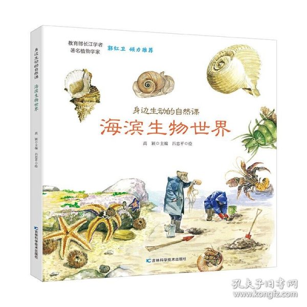 身边生动的自然课-海滨生物世界