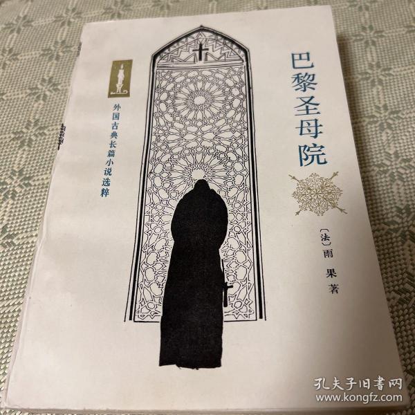 巴黎圣母院 （外国古典长篇小说选萃）多幅精美插图