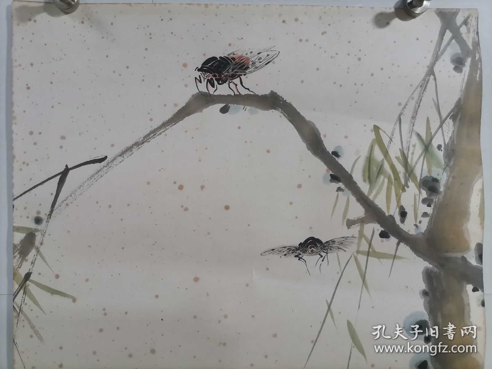 江苹 四川著名书画家江梵众之子 师从张大千 以画蝉出名 人称江蝉子 精品花鸟画软件 画心尺寸68*41厘米