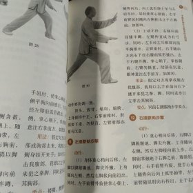 李雅轩杨氏太极拳法精解