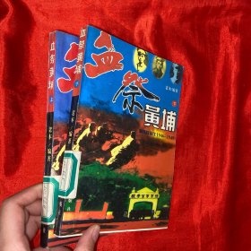 血祭黄埔：黄埔同窗在（1946～1949）（上下册）