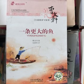 麦场主系列 曹文轩小说阅读与鉴赏 一条更大的鱼