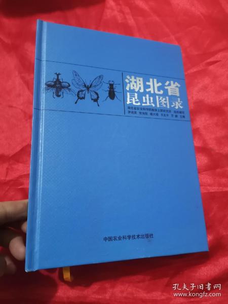 湖北省昆虫图录 （16开，精装）