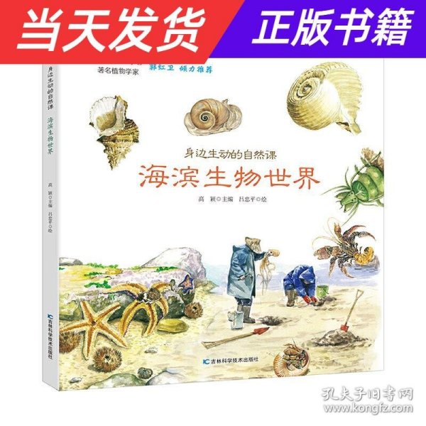 身边生动的自然课-海滨生物世界