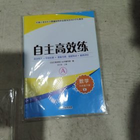 自主高效练数学九年级下册（R全三册）