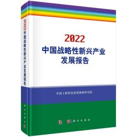 2022中国战略性新兴产业发展报告