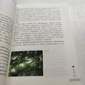 陈皮世家