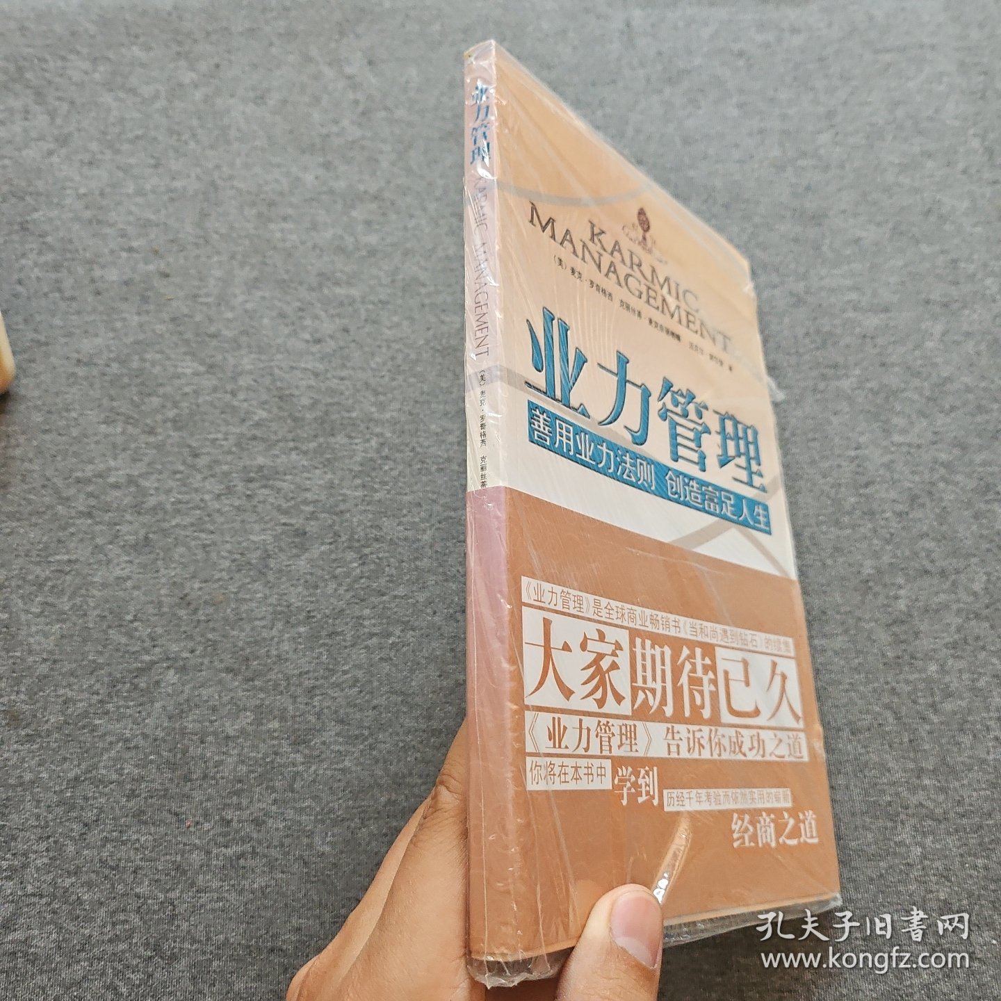 业力管理：善用业力法则 创造富足人生