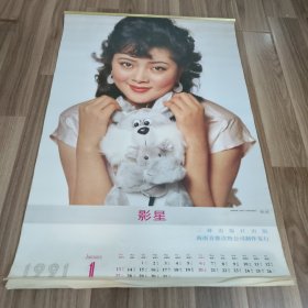 1991年挂历 影星，巩俐，陈晓旭，傅艺伟，白灵，张晓燕，陶慧敏等（缺二月）