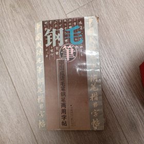 中国成语毛笔钢笔两用字帖