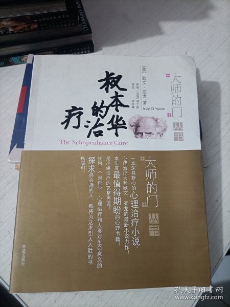 叔本华的治疗