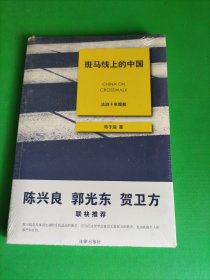 斑马线上的中国：法治十年观察