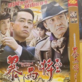 DVD2张 暴雨将至 五十集大型抗日谍战电视剧 黄志忠 陈小春 杨雪 等主演