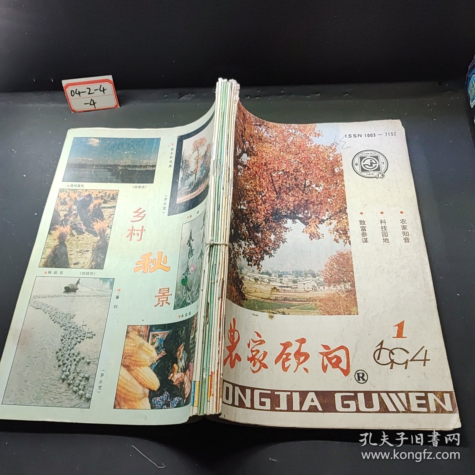农家顾问（1994.1+3+4+5+7-12期）共十本合售