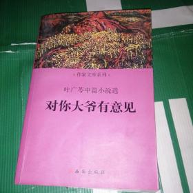 对你大爷有意见：叶广芩中篇小说选