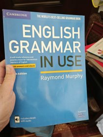 english grammer in use