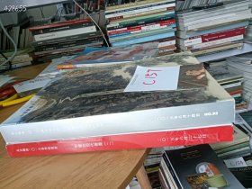 仅一套库存，北京瀚海拍卖会，中国近现代书画专场，两本大厚书合售价 35 元 C157