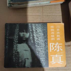 连环画 电视连续剧 陈真1-10