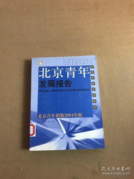 北京青年发展报告—北京青年指数2004年版