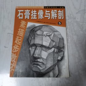 石膏挂像与解剖