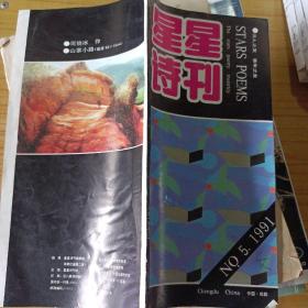 星星诗刊 1991/5