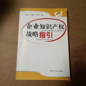 企业知识产权战略指引【内容全新】【一版一印】