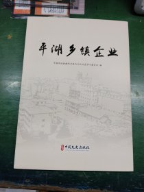平湖乡镇企业