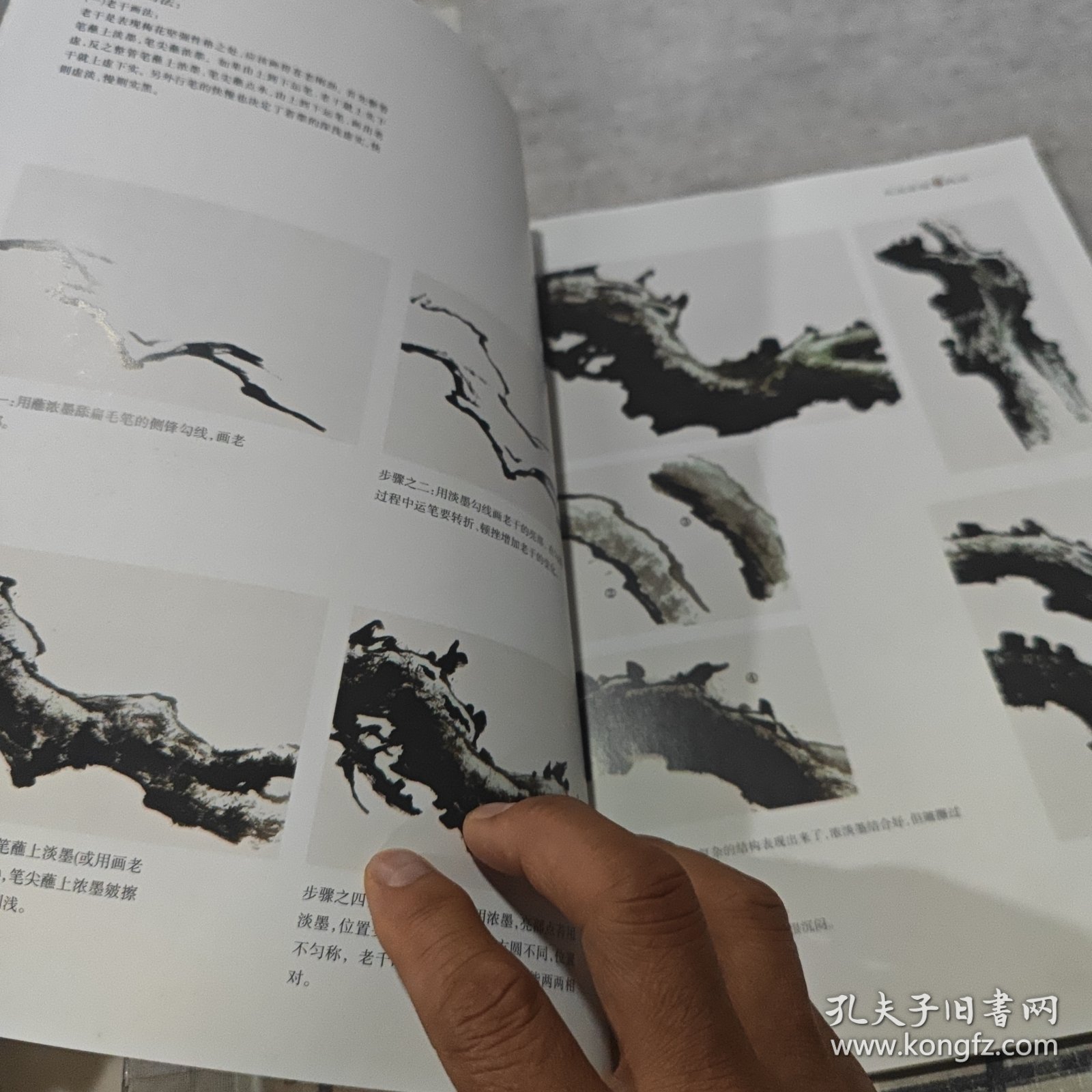 王成喜画梅技法