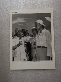 老照片：1958年9月，刘少奇在河北成安县向植棉老农了解棉花生长情况