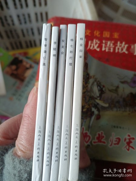 杨家将绘画本（1-5册）