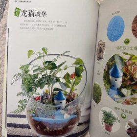 苔藓微景观魔法书【魔法DIY打造苔藓微景观，让您成就感爆棚】