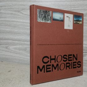 Chosen Memories: Contemporary Latin American Art from the Patricia Phelps de Cisneros Gift and Beyond