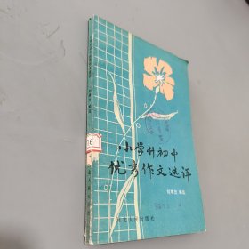 小学升初中优秀作文选评