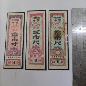 河北省布票 1973年（3枚合售）