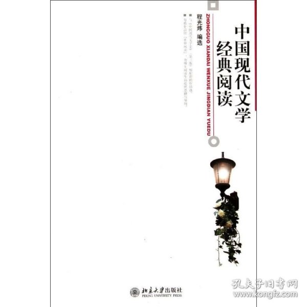 中国现代文学经典阅读