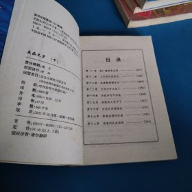 云中子武侠小说江湖娱情系列:花痴太岁(下)(一版一印,仅印3000册)