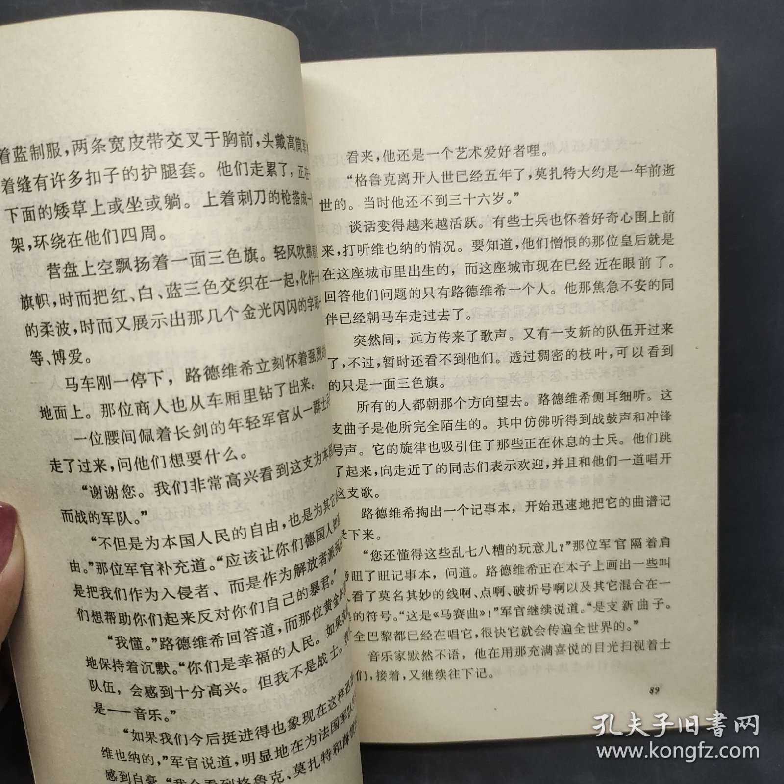 反抗命运的人 : 贝多芬