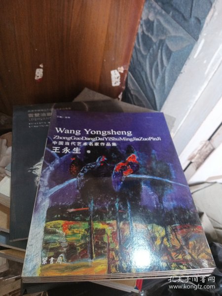 中国当代艺术名家作品集 王永生卷