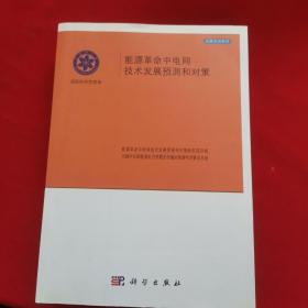 能源革命中电网及技术发展预测和对策