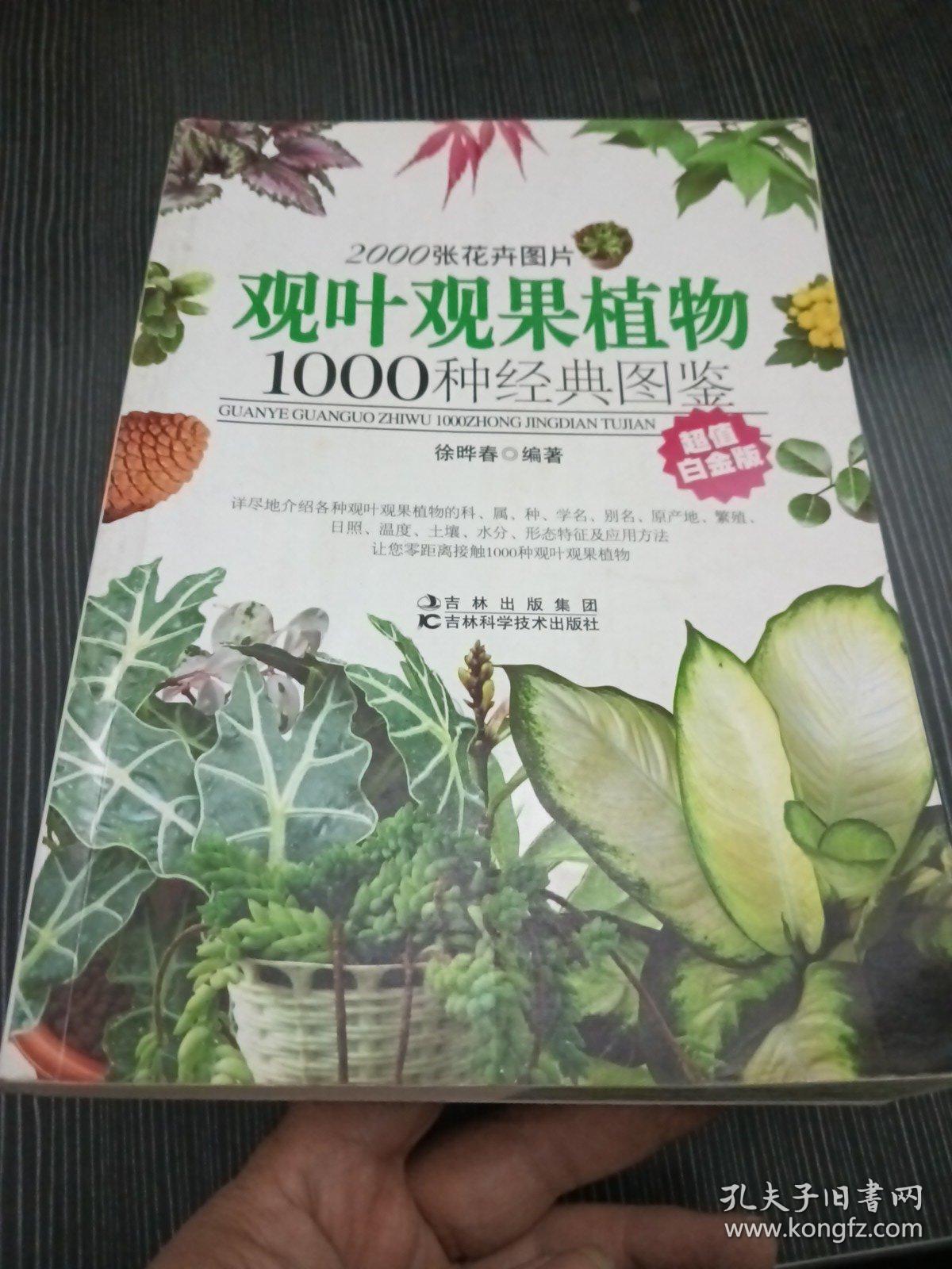 观叶观果植物1000种经典图鉴（超值白金版）