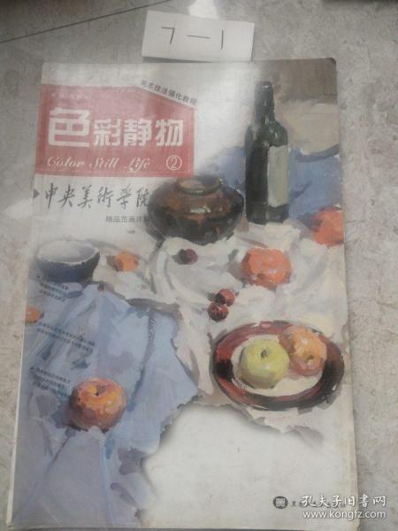 色彩静物(中央美术学院精品范画详解 )2