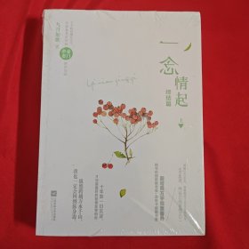 一念情起终结篇：上下册 全新未开封