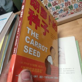 胡萝卜的种子