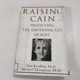 RAISING GAIN;PROTECTING THE EMOTIONAL LIFE OF BOYS