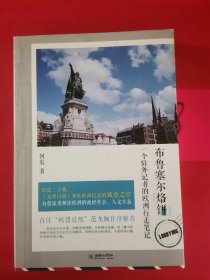 布鲁塞尔烙饼:一个驻外记者的欧洲行走笔记