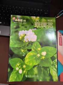 小聪仔 科普 茉莉花