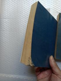 心灵的激情：弗洛伊德传记小说（上、下）