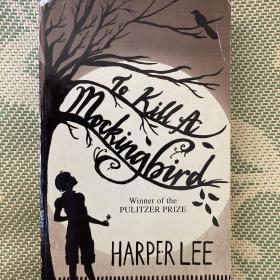 To Kill a Mockingbird