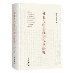 佛典与中古汉语代词研究