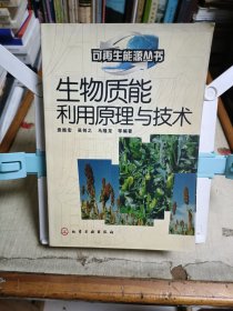 生物质能利用原理与技术